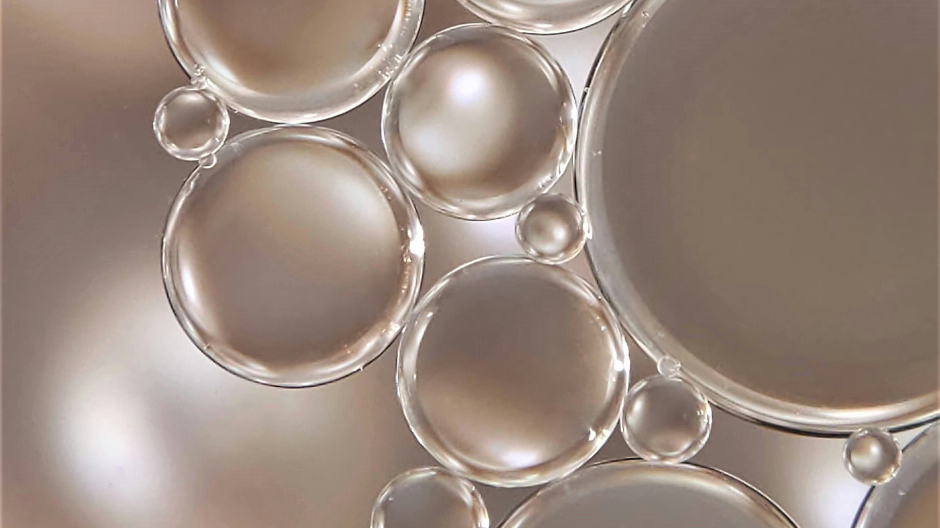 The Ultimate Anti-Aging Moisturizer for All Skin Types: Jojoba Oil