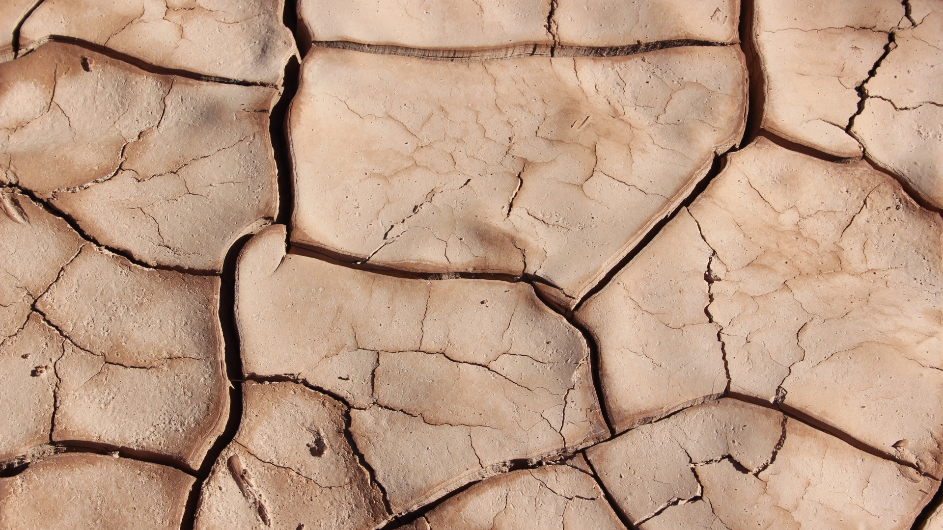 5 Signs Your Skin Barrier Needs Repair and How to Fix It